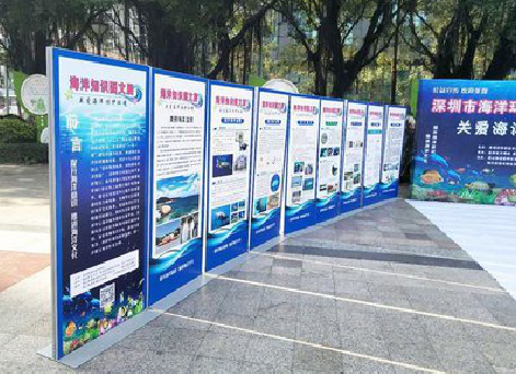 华阴KT板的种类和知识。